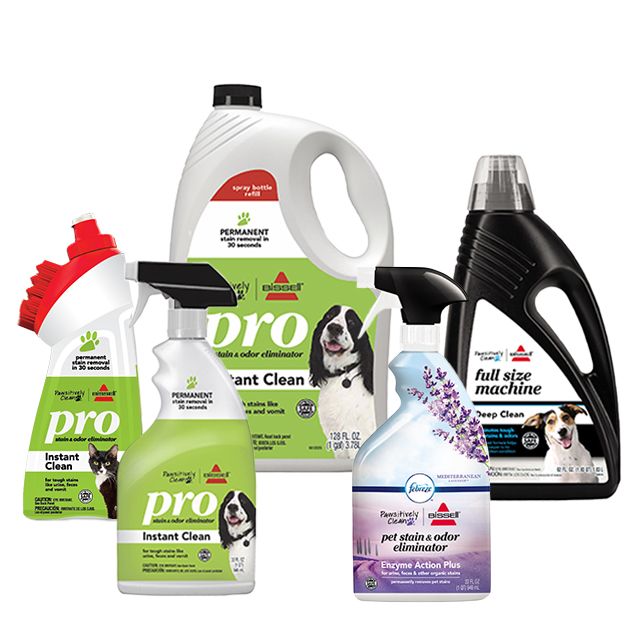 Petsmart on sale carpet cleaner